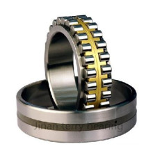 The High Quality Low Noise Cylindrical Roller Bearings (NN3012)